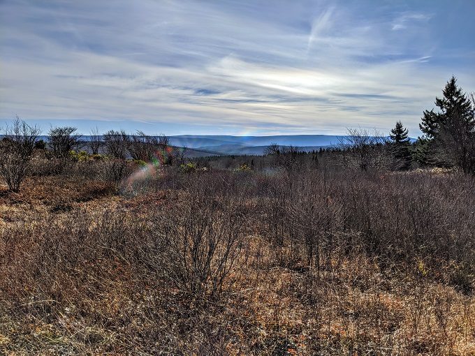 Mountain views at Dolly Sods Wilderness