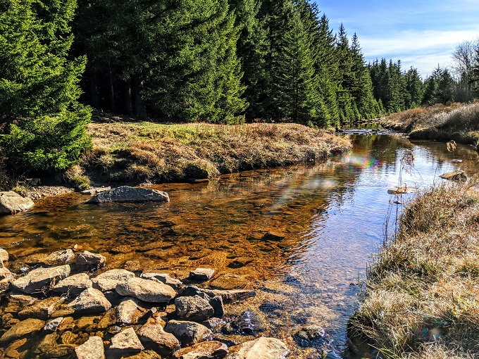 Red Creek at Dolly Sods Wilderness