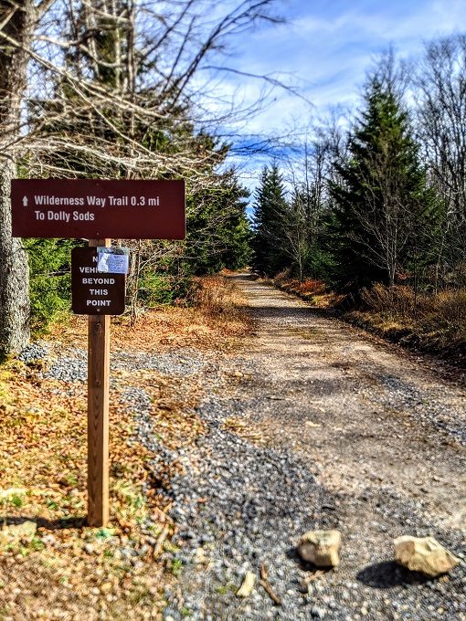 Hiking At Dolly Sods Wilderness In West Virginia - Start Of WilDerness Way Trail To Dolly SoDs 510x680