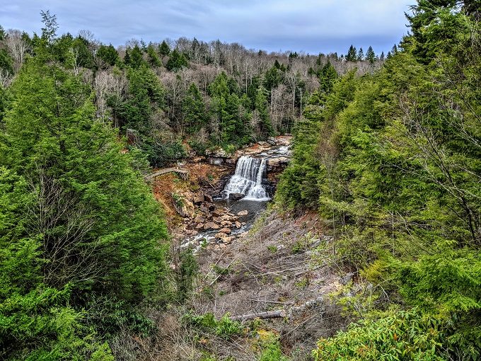 View from Blackwater Falls Overlook 1
