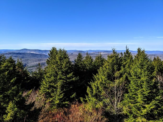 View from the top of Spruce Knob Tower 2