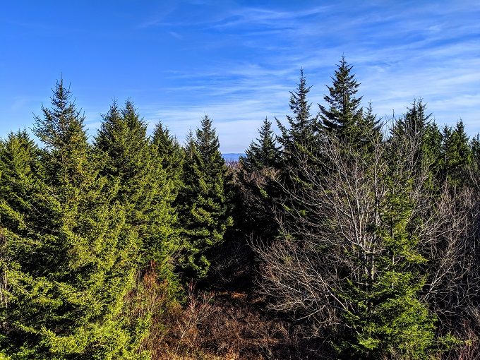 View from the top of Spruce Knob Tower 3