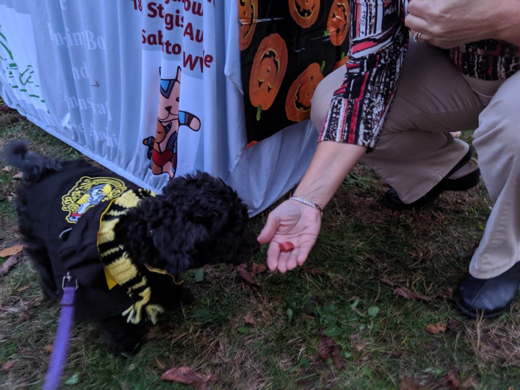 Howloween Dog TrickorTreat At The West Virginia Botanic Garden In