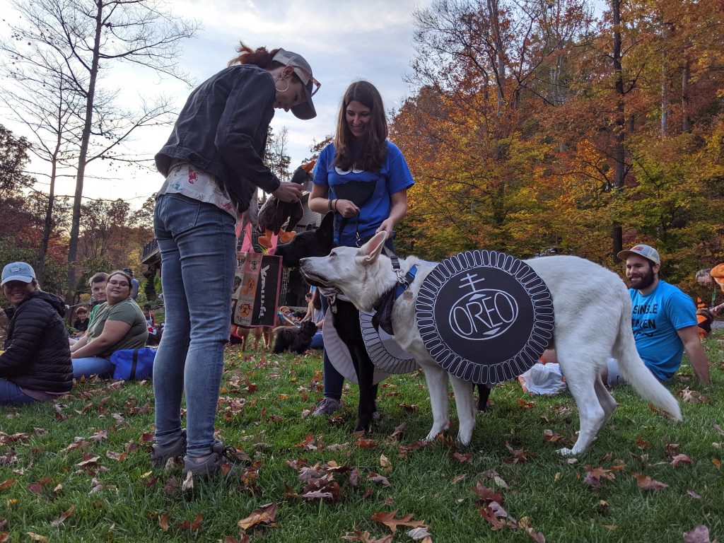 Howloween Dog TrickorTreat At The West Virginia Botanic Garden In