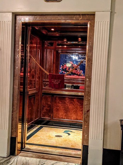 Peabody Ducks - Peabody Hotel duck elevator