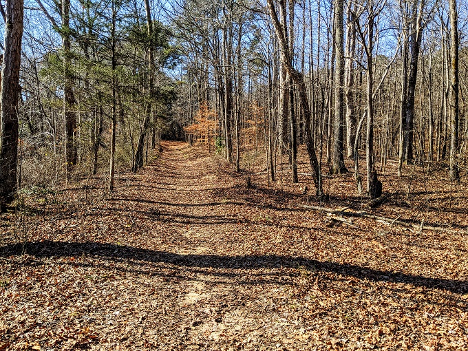 Nature trail at Wall Doxey State Park