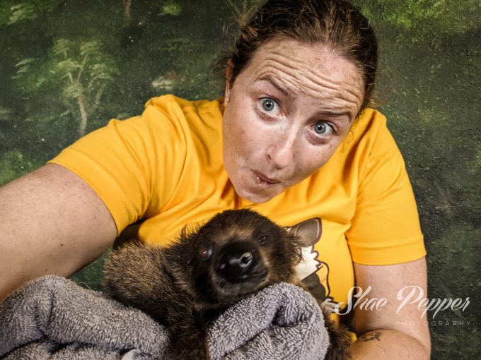 Holding a baby sloth at Barn Hill Preserve