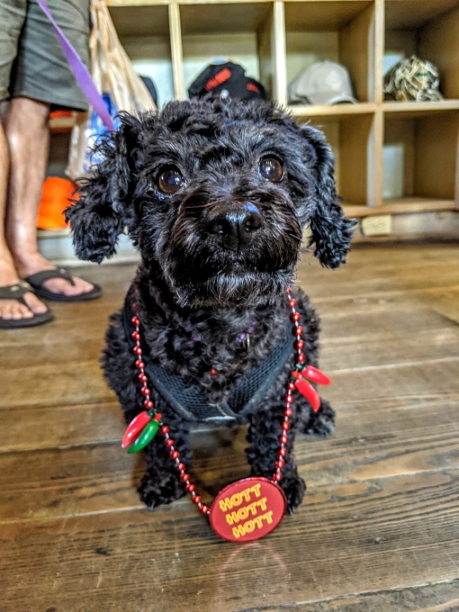 Tabasco Factory Tour - Truffles Pepper rocking her pepper beads ready for Mardi Gras