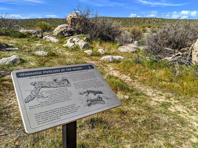 Catalina State Park - Information about venomous creatures