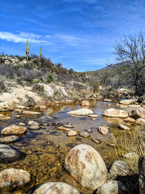 Catalina State Park - Lunch by the creek