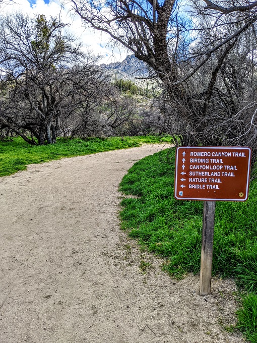Catalina State Park - Start of the Canyon Loop Trail