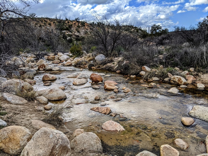Catalina State Park - Stream running alongside the Canyon Loop Trail