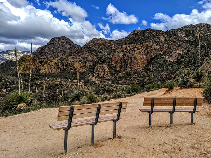 Catalina State Park - Take a seat & enjoy the view of the Santa Catalina Mountains