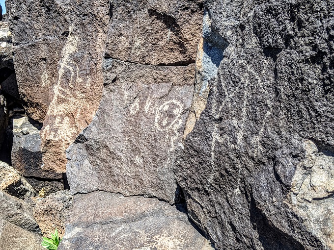 Petroglyph National Monument - Boca Negra Canyon