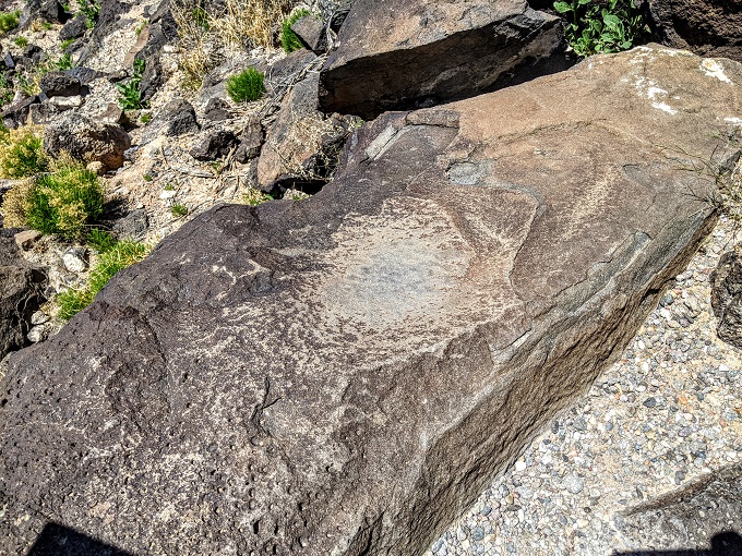Petroglyph National Monument - Boca Negra Canyon - Rock that was used as a grinding surface