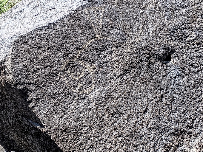 Petroglyph National Monument Macaw Trail
