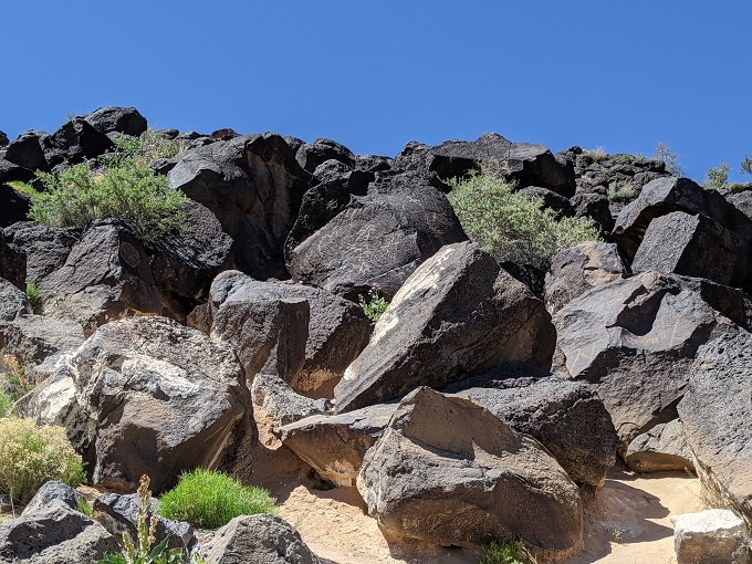 Petroglyph National Monument - Piedras Marcadas Canyon