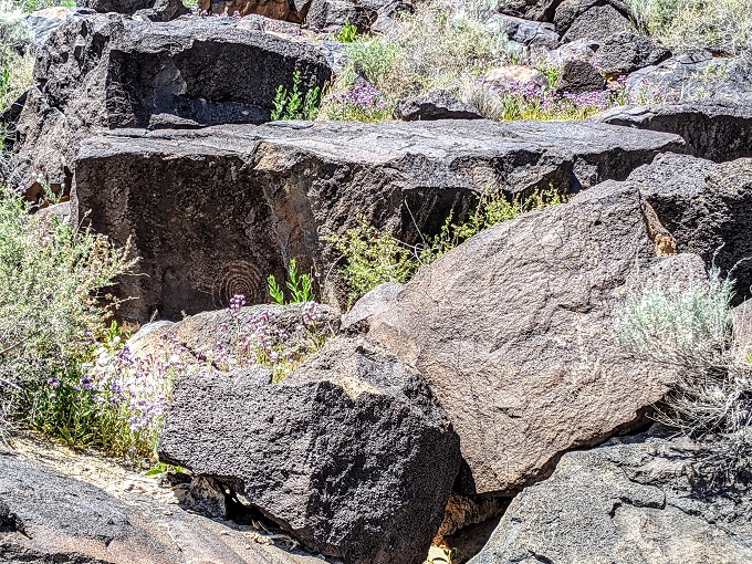Petroglyph National Monument - Piedras Marcadas Canyon