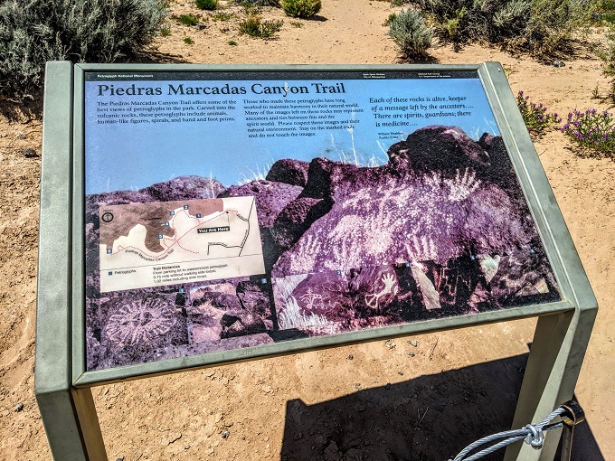 Petroglyph National Monument - Piedras Marcadas Canyon - Information board