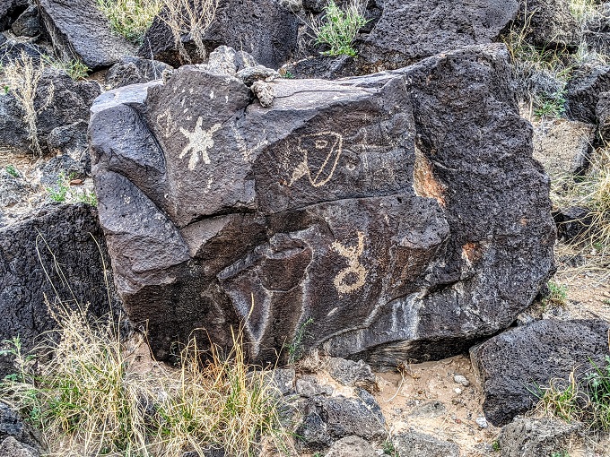 Petroglyph National Monument - Rinconada Canyon 12