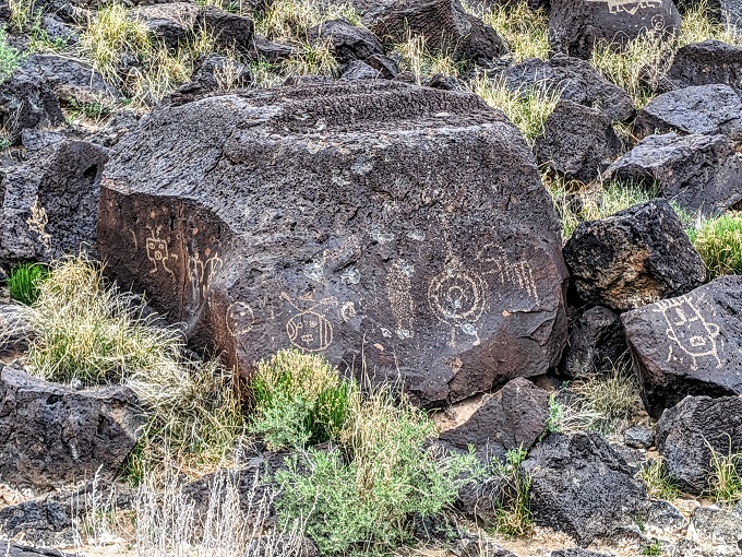 Petroglyph National Monument - Rinconada Canyon 15