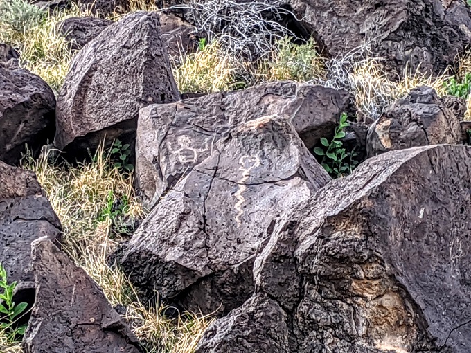 Petroglyph National Monument - Rinconada Canyon 6