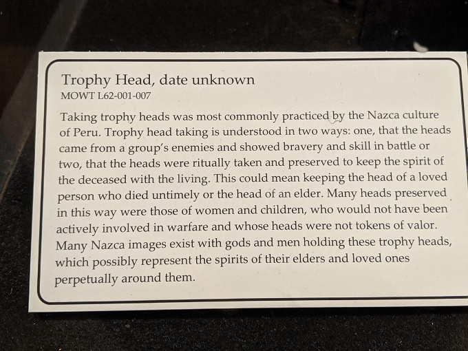 Information about the trophy head at Museum of World Treasures in Wichita, KS