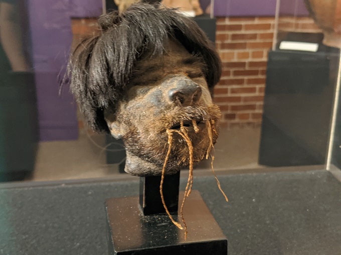 Shrunken head at Museum of World Treasures in Wichita, KS