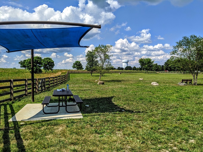 South paddock of Wiggly Field dog park in West Chester 1