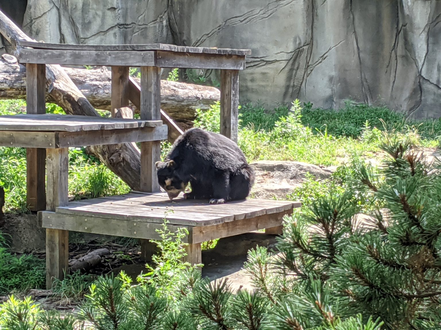 Visiting The Cleveland Metroparks Zoo In Cleveland, OH - No Home Just Roam