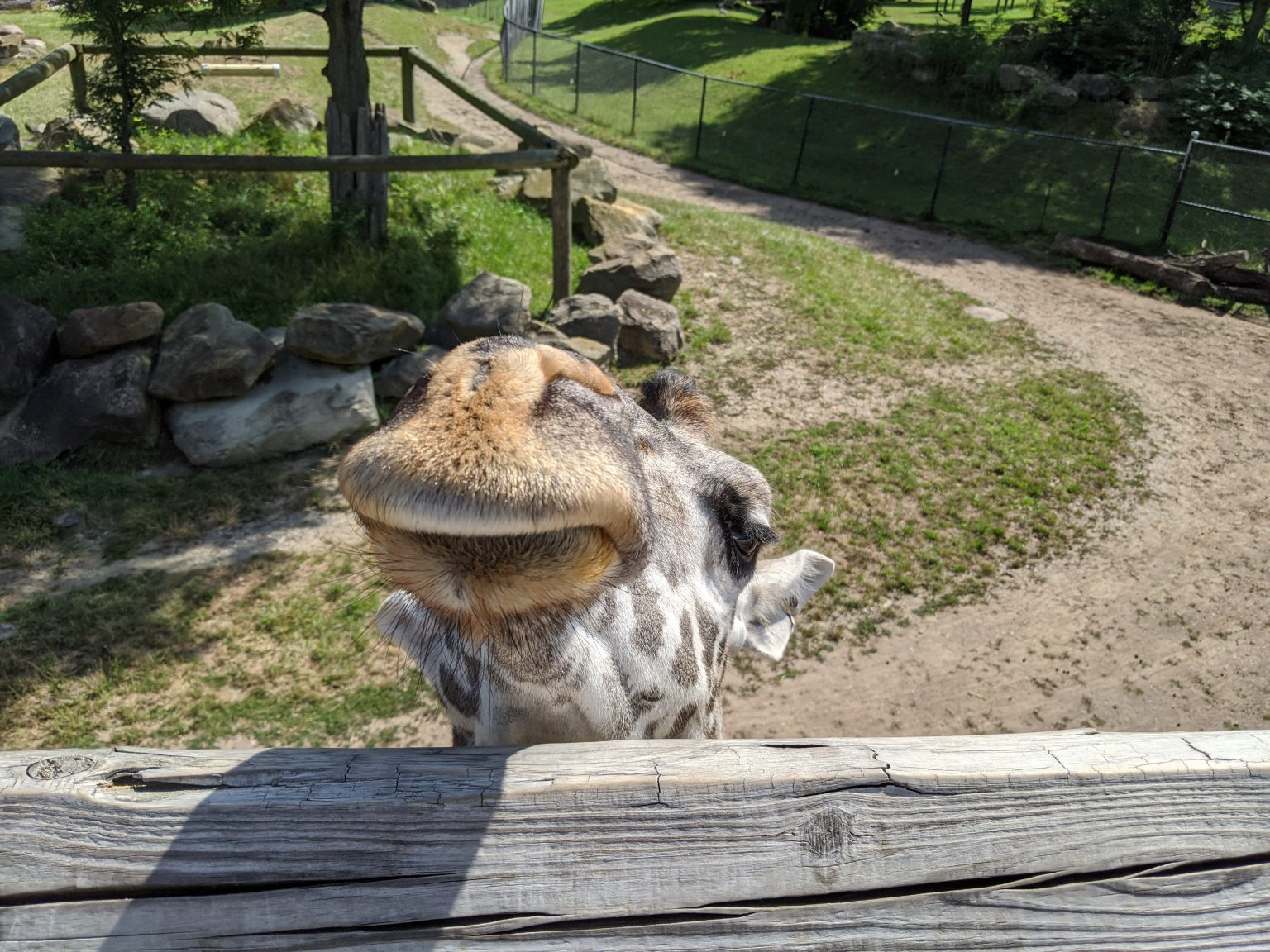 Visiting The Cleveland Metroparks Zoo In Cleveland, OH - No Home Just Roam