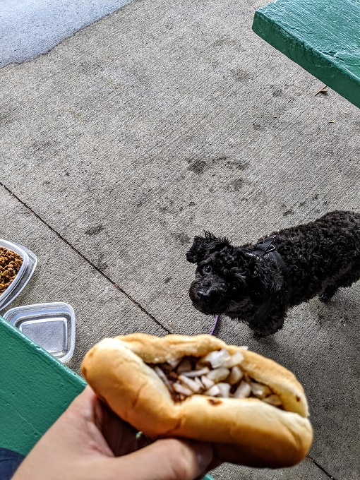 Truffles wanting to try one of my coneys