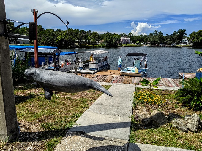 Crystal River Watersports boat dock