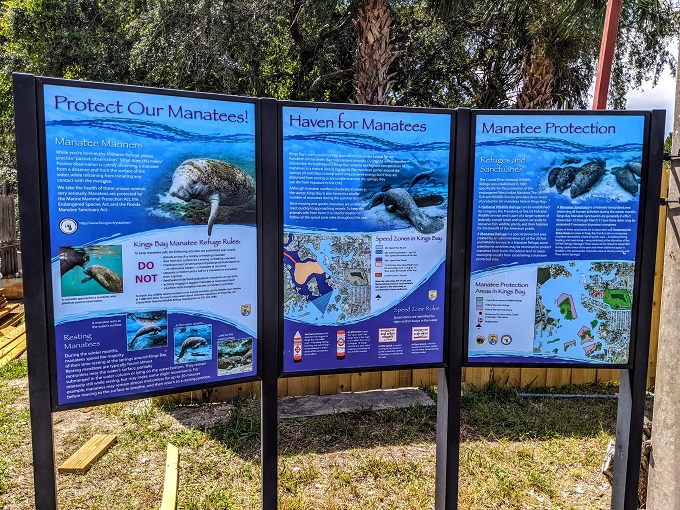 Information about manatees