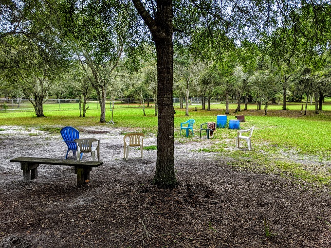 Small dog section at Bark Central Dog Park in Inverness, FL