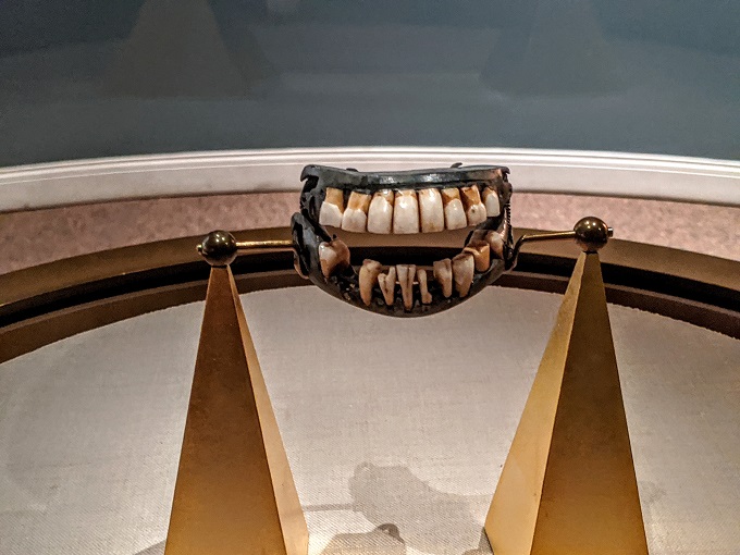 George Washington's Mount Vernon - George Washington's teeth