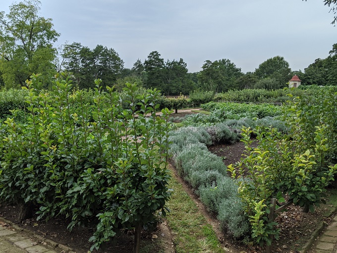 George Washington's Mount Vernon - Lower (kitchen) garden
