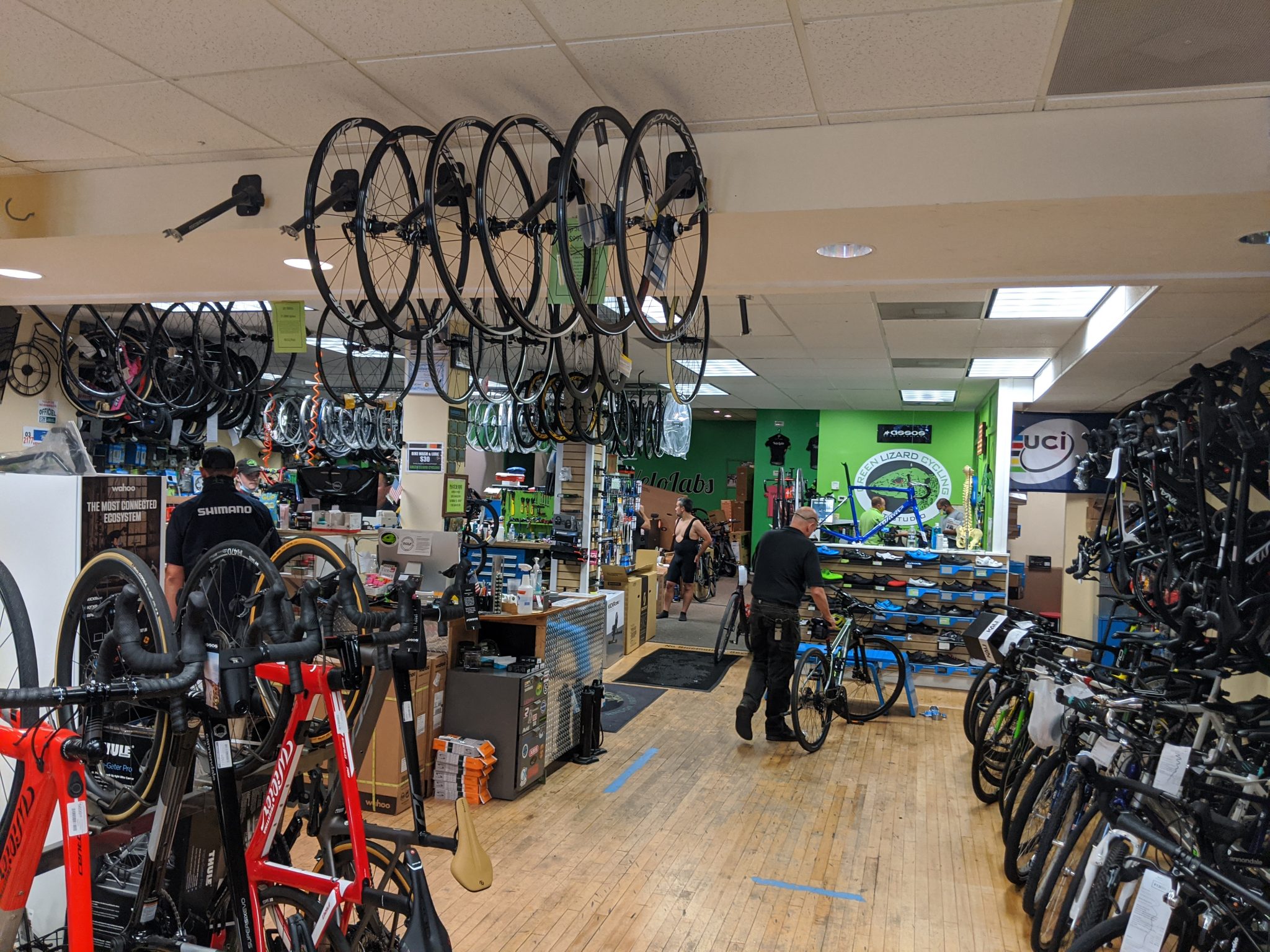 green lizard bike shop