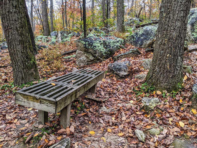 A.M. Thomas Trail, Sugarloaf Mountain, MD - Bench to rest your legs