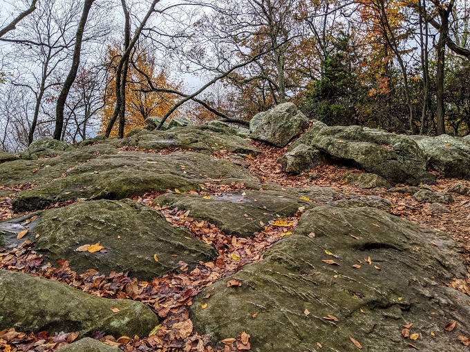 A.M. Thomas Trail, Sugarloaf Mountain, MD - Continue over the rocks