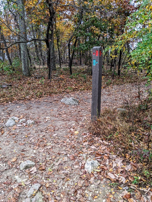 A.M. Thomas Trail, Sugarloaf Mountain, MD - Follow the trail markers along