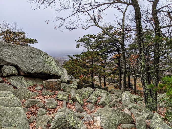 A.M. Thomas Trail, Sugarloaf Mountain, MD - View on a foggy day