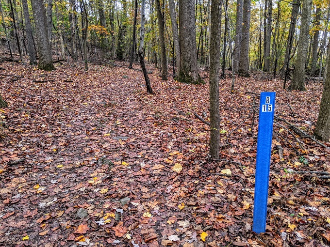 Northern Peaks Trail, Sugarloaf Mountain, MD - 1.5 mile marker, except it isn't