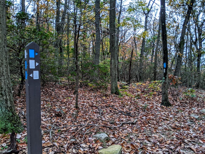 Northern Peaks Trail, Sugarloaf Mountain, MD - Blue and white trails joining again