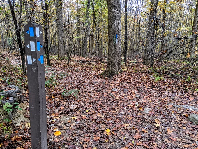 Northern Peaks Trail, Sugarloaf Mountain, MD - Combined part of blue & white trail