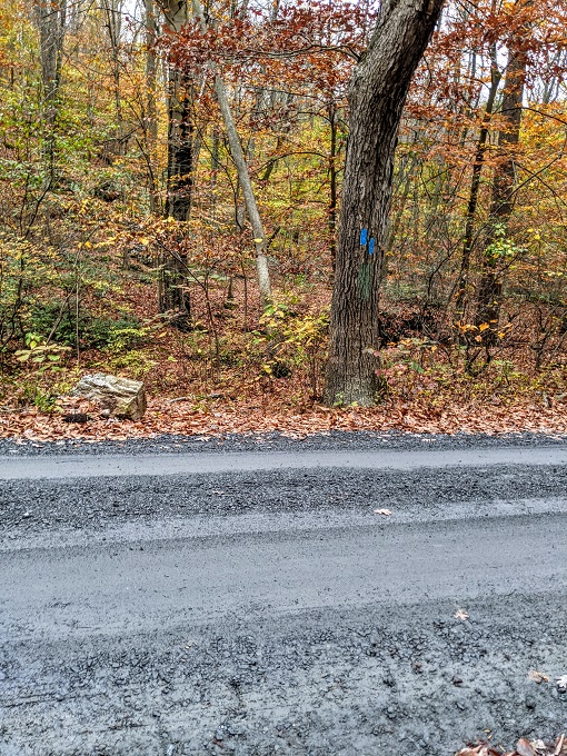 Northern Peaks Trail, Sugarloaf Mountain, MD - Don't cross the road here