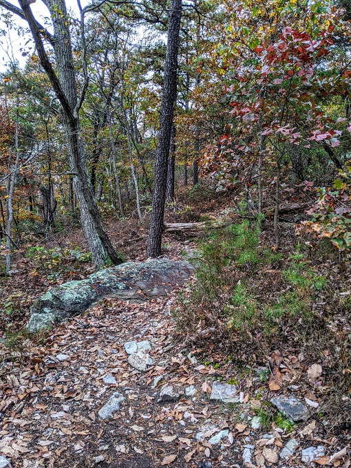 Northern Peaks Trail, Sugarloaf Mountain, MD - Don't go straight here!