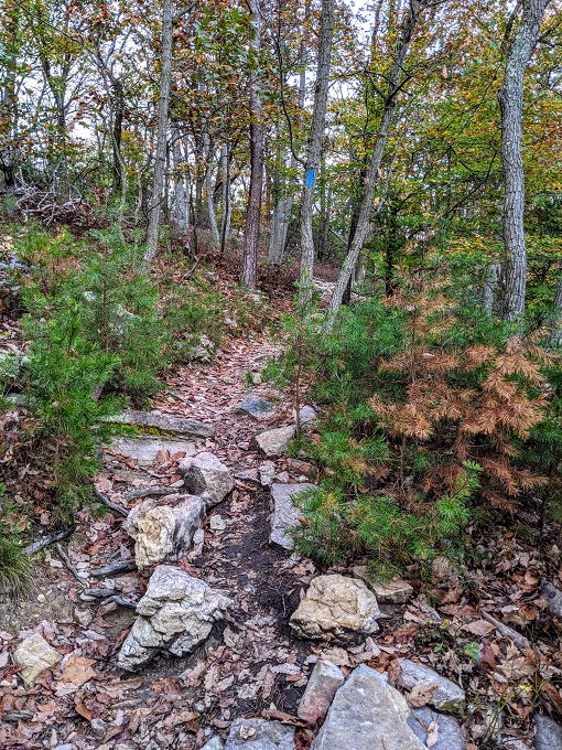 Northern Peaks Trail, Sugarloaf Mountain, MD - Go up here instead