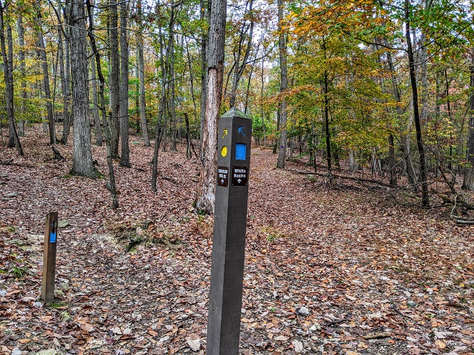 Northern Peaks Trail, Sugarloaf Mountain, MD - Heading on to White Rocks
