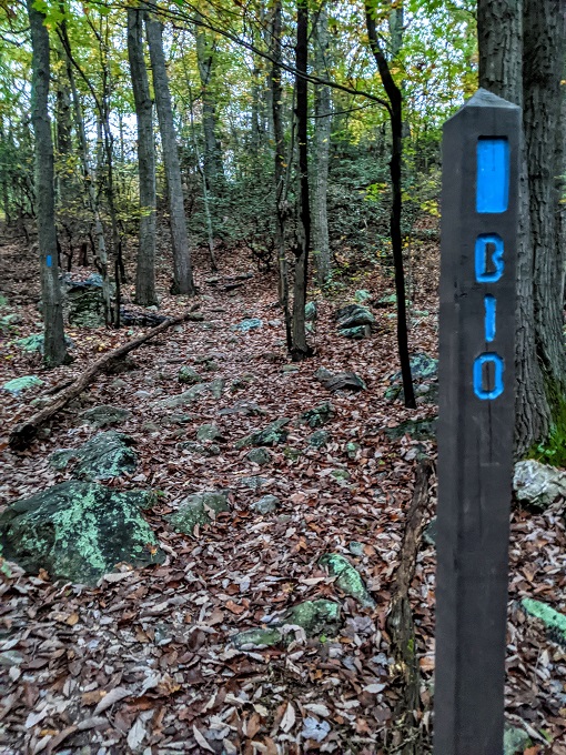 Northern Peaks Trail, Sugarloaf Mountain, MD - Nearly at the end